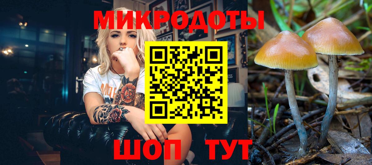 Галлюциногенные грибы Psilocybine cubensis Нижнекамск