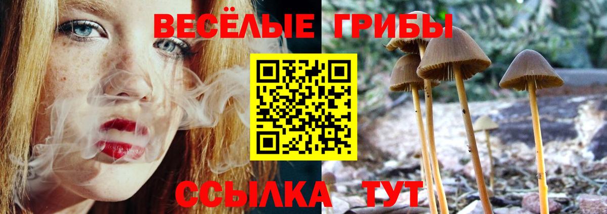 Нижнекамск  Псилоцибиновые грибы ЛСД  Вход с VPN 